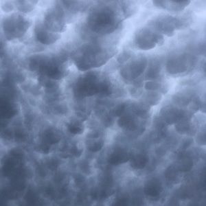 Meet your Posher, Mia